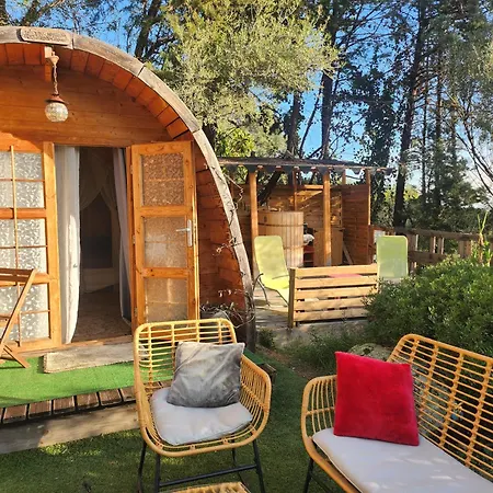 Mustang Avec Piscine Casaeva ホームステイ